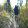 big bear lake california lodging.